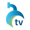 ბორჯომი TV
