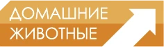 Domashnie Zhivotnye