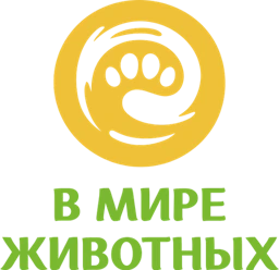 V mire zhivotnykh