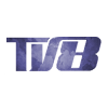არხი 8